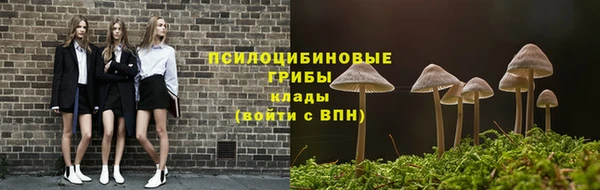 круглые Козельск