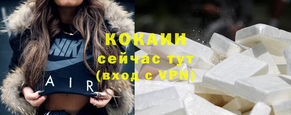 стафф Козловка