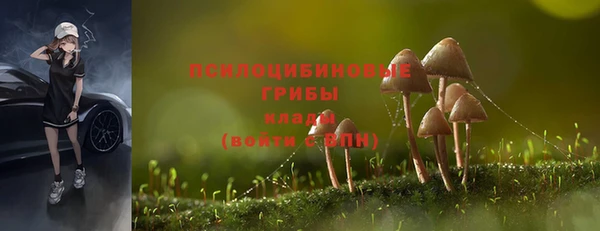 круглые Козельск