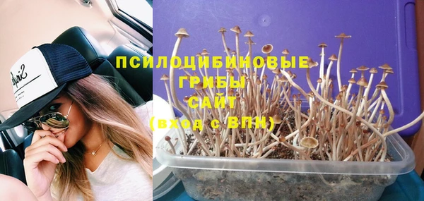стафф Козловка