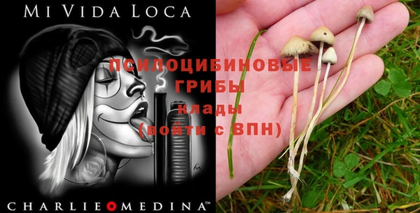 стафф Козловка
