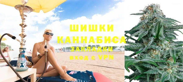 стафф Козловка