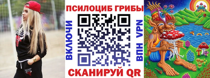 Псилоцибиновые грибы мицелий  Купить  Егорьевск 