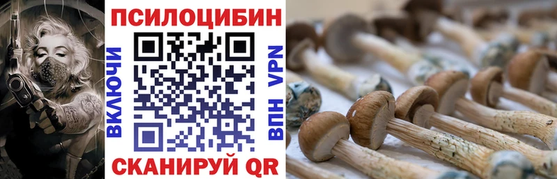 Псилоцибиновые грибы мухоморы Егорьевск